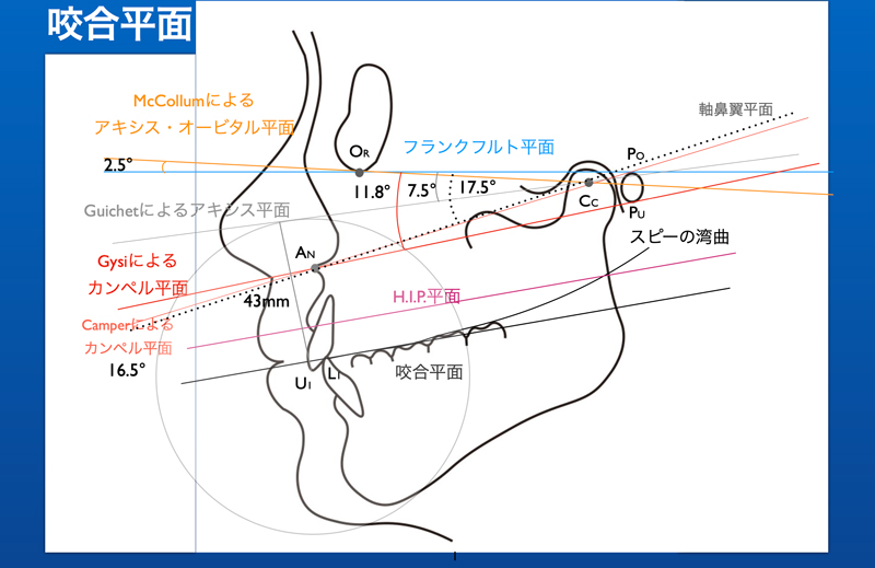 咬合平面